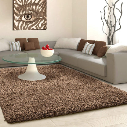 Micro Plain Coffee  Color Soft Shaggy Carpet