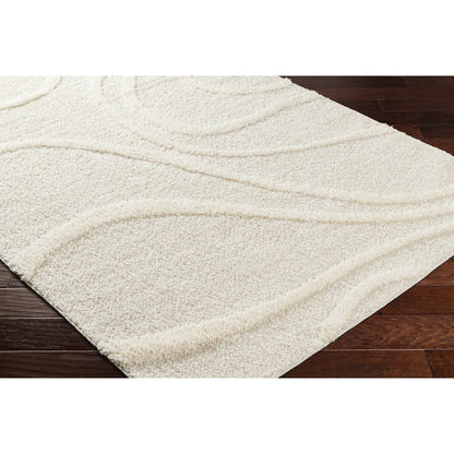 Modern hand tufted Woven Area Rug Microfiber Shaggy Carpet for Living & Bedroom Room