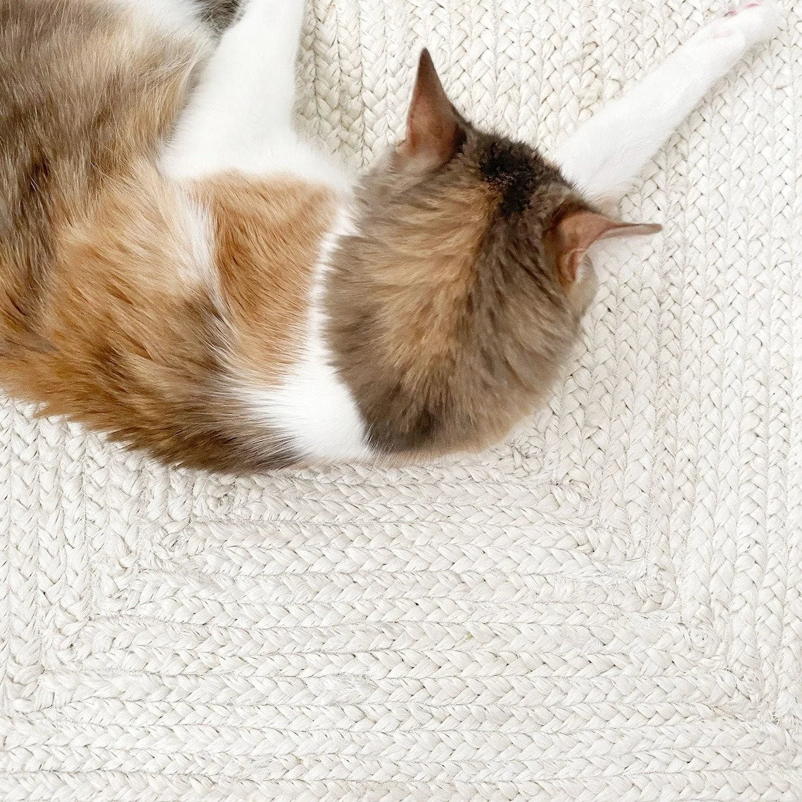 Natural Jute Braided Off White Rugs