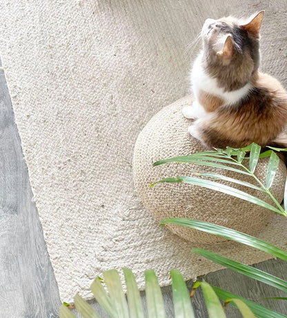 Natural Jute Braided Off White Rugs